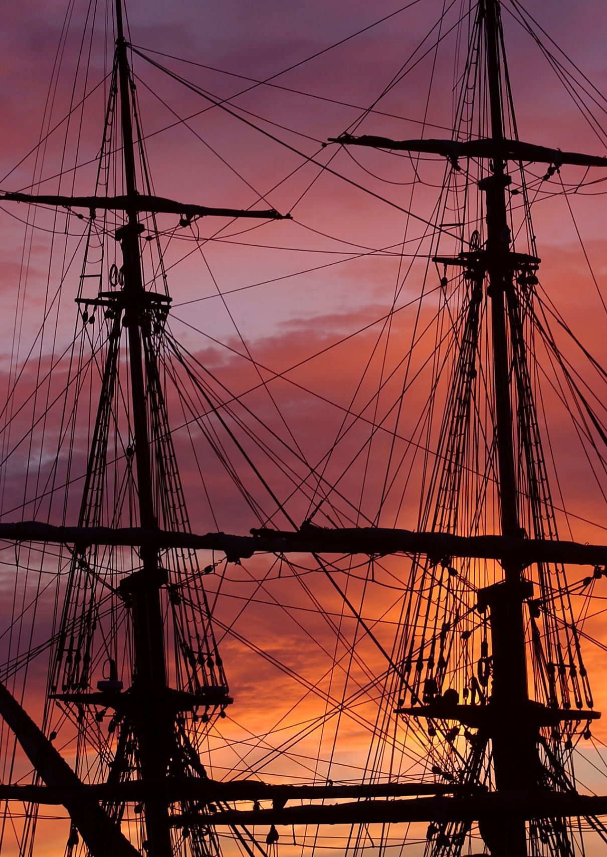 Bounty at sunset